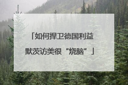 如何捍卫德国利益 默茨访美很“烧脑”