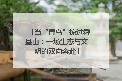 当“青鸟”掠过舜皇山：一场生态与文明的双向奔赴