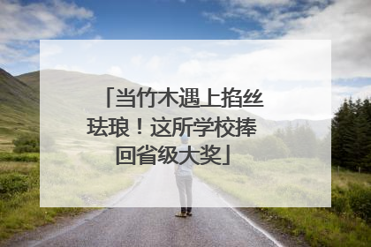 当竹木遇上掐丝珐琅！这所学校捧回省级大奖