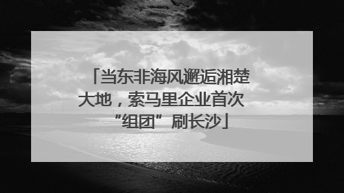 当东非海风邂逅湘楚大地，索马里企业首次“组团”刷长沙