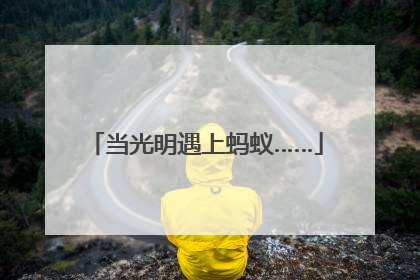 当光明遇上蚂蚁……