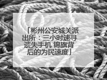 彬州公安城关派出所：三小时速寻遗失手机 锦旗背后的为民速度