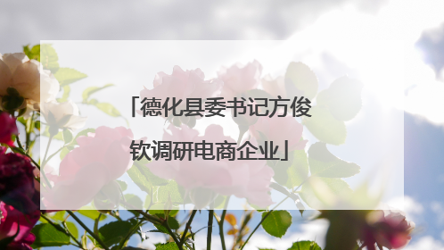 德化县委书记方俊钦调研电商企业