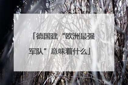 德国建“欧洲最强军队”意味着什么