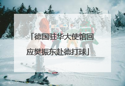 德国驻华大使馆回应樊振东赴德打球