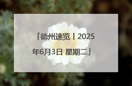 德州速览丨2025年6月3日 星期二