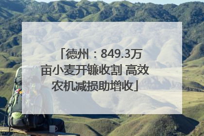 德州：849.3万亩小麦开镰收割 高效农机减损助增收