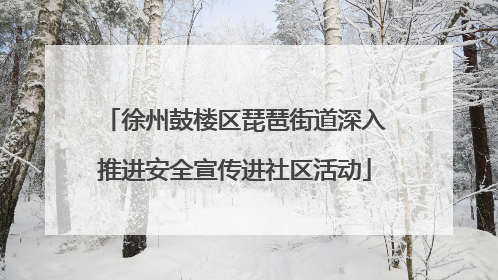 徐州鼓楼区琵琶街道深入推进安全宣传进社区活动