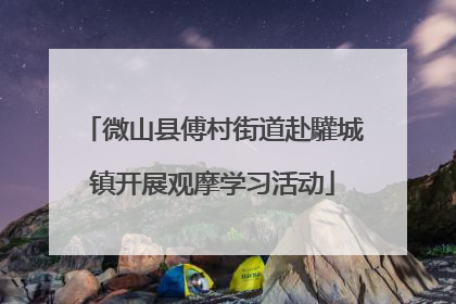 微山县傅村街道赴驩城镇开展观摩学习活动
