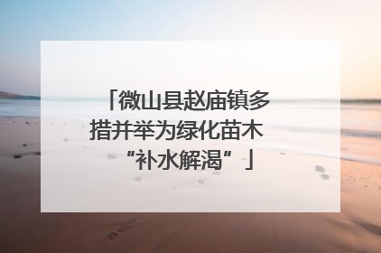 微山县赵庙镇多措并举为绿化苗木“补水解渴”