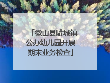 微山县驩城镇公办幼儿园开展期末业务检查
