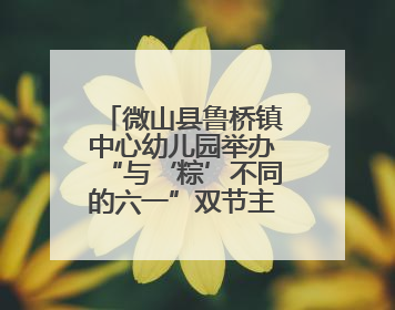 微山县鲁桥镇中心幼儿园举办“与‘粽’不同的六一”双节主题活动
