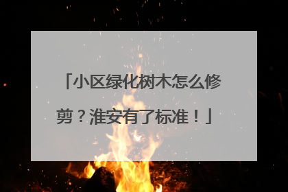 小区绿化树木怎么修剪？淮安有了标准！