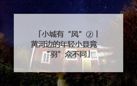 小城有“风”②丨黄河边的年轻小县竟“羽”众不同