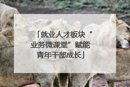 就业人才板块“业务微课堂”赋能青年干部成长