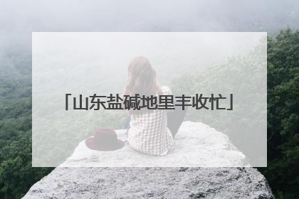 山东盐碱地里丰收忙