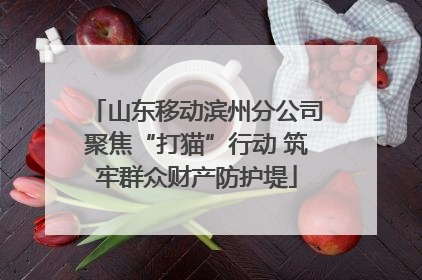 山东移动滨州分公司聚焦“打猫”行动 筑牢群众财产防护堤