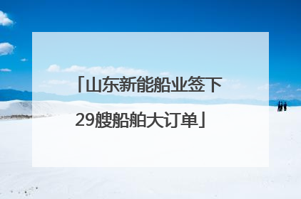 山东新能船业签下29艘船舶大订单