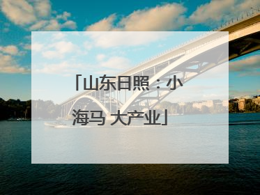 山东日照：小海马 大产业