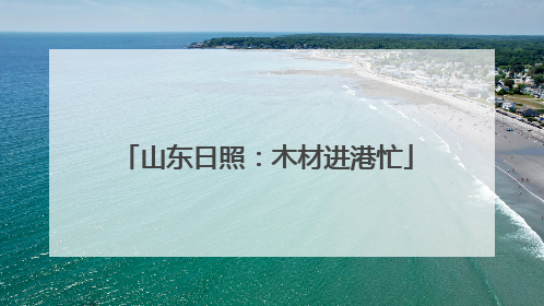 山东日照：木材进港忙