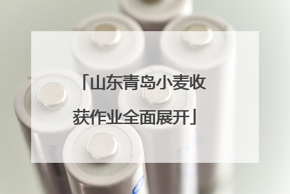 山东青岛小麦收获作业全面展开