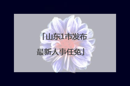 山东1市发布最新人事任免