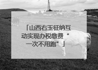 山西右玉征纳互动实现办税缴费“一次不用跑”