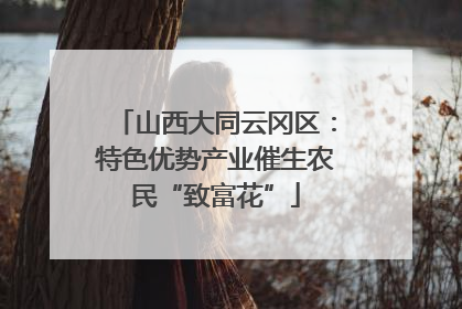 山西大同云冈区：特色优势产业催生农民“致富花”
