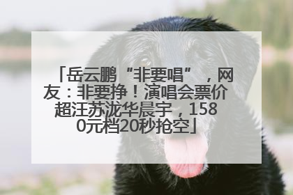 岳云鹏“非要唱”，网友：非要挣！演唱会票价超汪苏泷华晨宇，1580元档20秒抢空