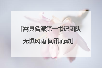 嵩县省派第一书记团队 无惧风雨 闻汛而动