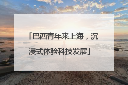 巴西青年来上海，沉浸式体验科技发展