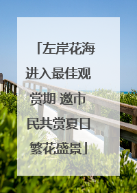 左岸花海进入最佳观赏期 邀市民共赏夏日繁花盛景