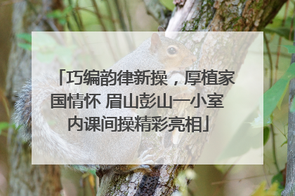 巧编韵律新操，厚植家国情怀 眉山彭山一小室内课间操精彩亮相