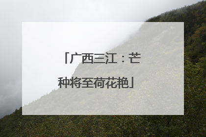 广西三江：芒种将至荷花艳