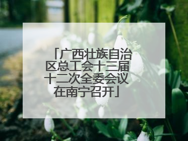 广西壮族自治区总工会十三届十二次全委会议在南宁召开