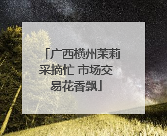 广西横州茉莉采摘忙 市场交易花香飘