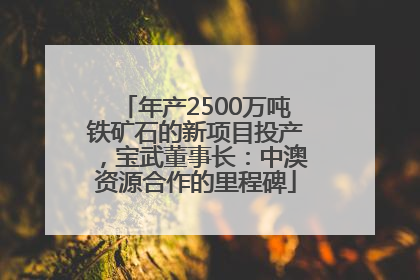 年产2500万吨铁矿石的新项目投产，宝武董事长：中澳资源合作的里程碑