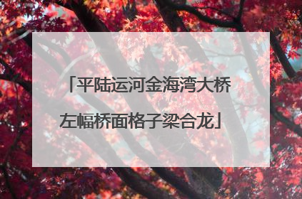 平陆运河金海湾大桥左幅桥面格子梁合龙