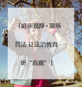 庭审观摩+现场普法 让法治教育更“直观”