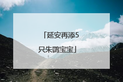延安再添5只朱鹮宝宝