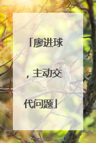 廖进球，主动交代问题