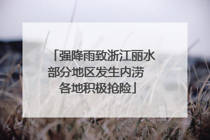 强降雨致浙江丽水部分地区发生内涝 各地积极抢险