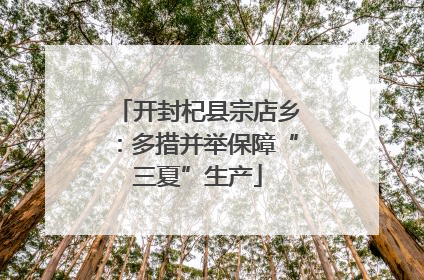 开封杞县宗店乡：多措并举保障“三夏”生产
