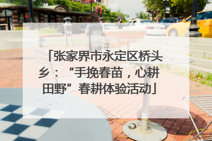 张家界市永定区桥头乡：“手挽春苗，心耕田野”春耕体验活动