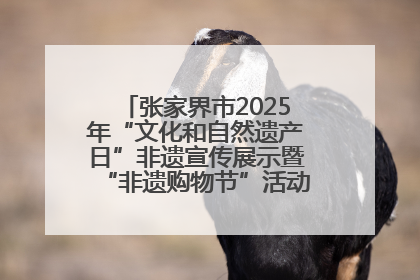 张家界市2025年“文化和自然遗产日”非遗宣传展示暨“非遗购物节”活动在慈利县盛大启幕