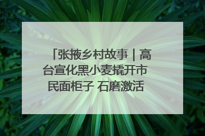 张掖乡村故事｜高台宣化黑小麦撬开市民面柜子 石磨激活村集体钱匣子