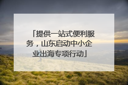 提供一站式便利服务，山东启动中小企业出海专项行动