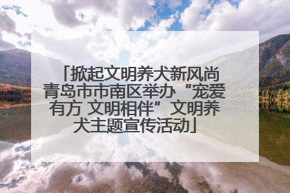 掀起文明养犬新风尚 青岛市市南区举办“宠爱有方 文明相伴”文明养犬主题宣传活动