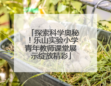 探索科学奥秘！乐山实验小学青年教师课堂展示绽放精彩