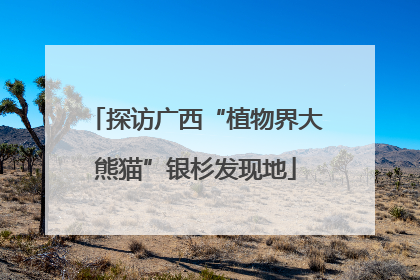 探访广西“植物界大熊猫”银杉发现地